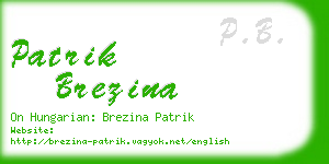 patrik brezina business card